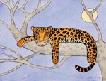 Leopard PRINT