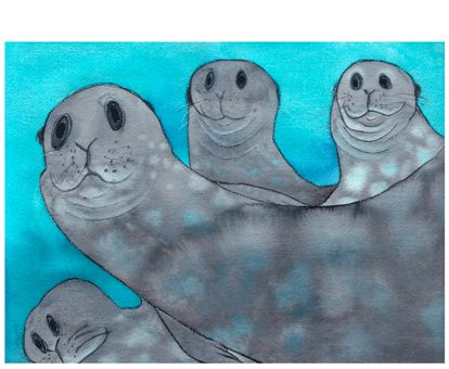 Seals under the ice PRINT
