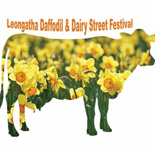 Daffodil Festival Pop up Shop