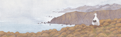 The World Watched as the Battle to save Macquarie Island began PRINT