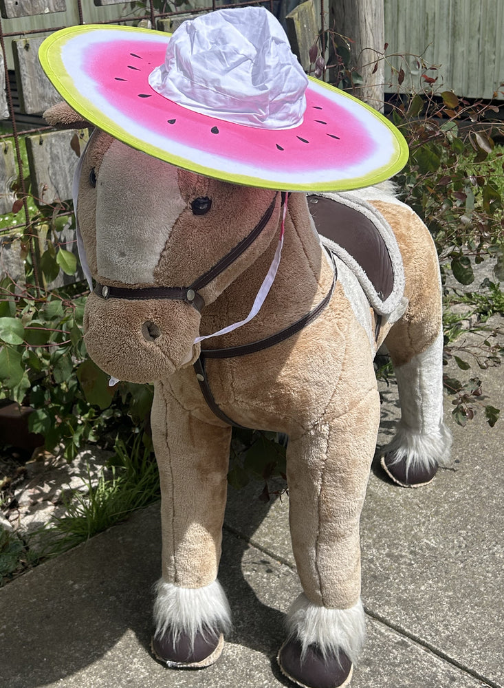 Watermelon Hat