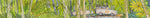 The shadowy green rainforest PRINT