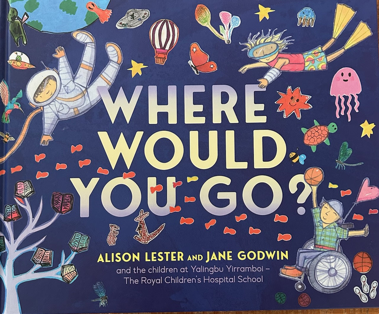 Where would you go BOOK – alisonlester.com