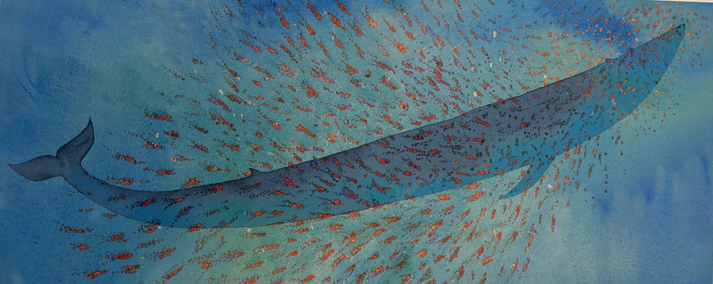 Blue whale, orange krill PRINT
