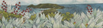 "...the Macquarie Island parakeet was easy prey..." PRINT