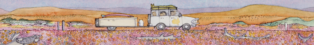 "...a pink tapestry of wildflowers..." PRINT