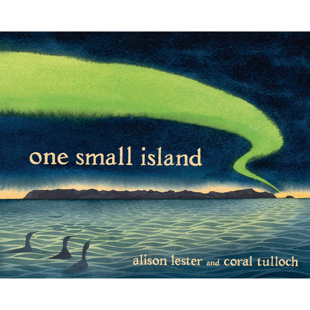 One Small Island Hardcover